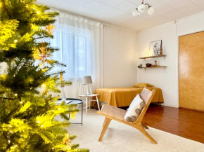 Palkinen I Rovaniemi - idyllic home in peaceful area, wifi & free parking, Rovaniemi